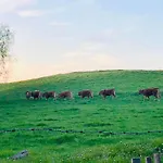 Mmghome - A La Ferme Guest house 3*