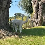 Mmghome - A La Ferme 3*