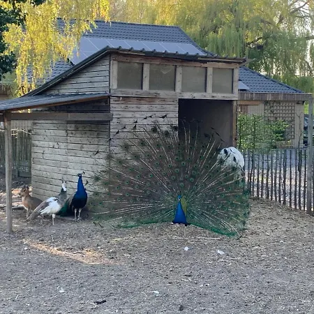 Gasthuis Mmghome - A La Ferme