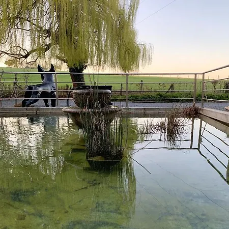 Casa de hóspedes Mmghome - à La Ferme Frasnes-lez-Anvaing