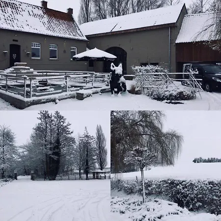 Casa de hóspedes Mmghome - à La Ferme 4*