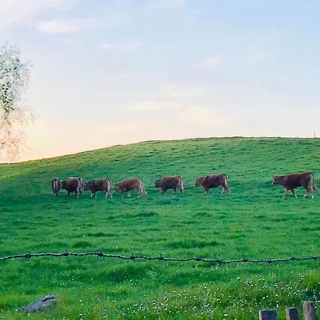 Mmghome - à La Ferme Casa de hóspedes 4*