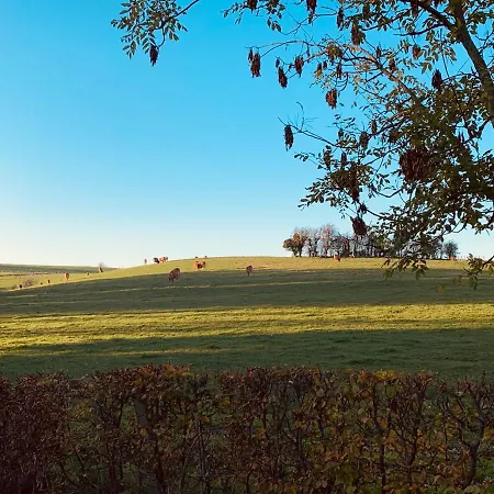 Mmghome - A La Ferme Gasthuis Frasnes-lez-Anvaing